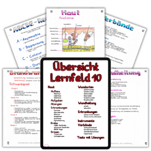 LF10-Beispiel-Bild