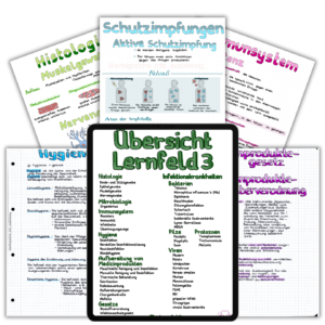 LF3-Beispiel-Bild