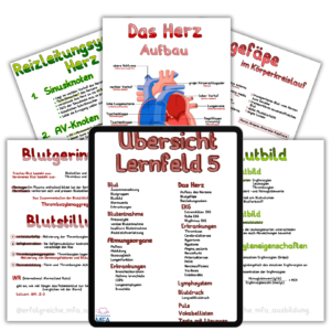 LF5-Beispiel-Bild-1380