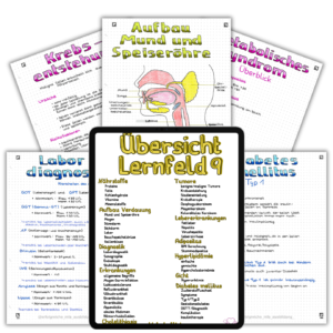 LF9-Beispiel-Bild