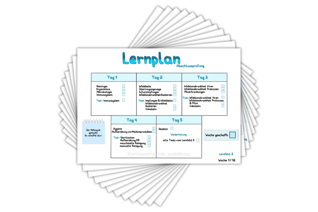 Lernplan-AP-12-Wochen_12-Seiten